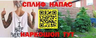 крисы Братск
