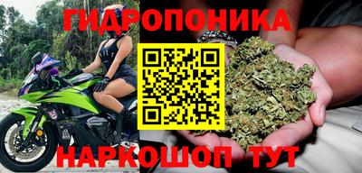 крисы Братск