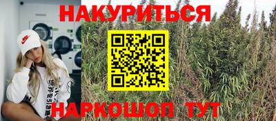 крисы Боровичи