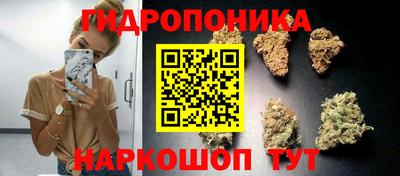 крисы Братск